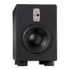 Студийные сабвуферы EVE AUDIO TS110